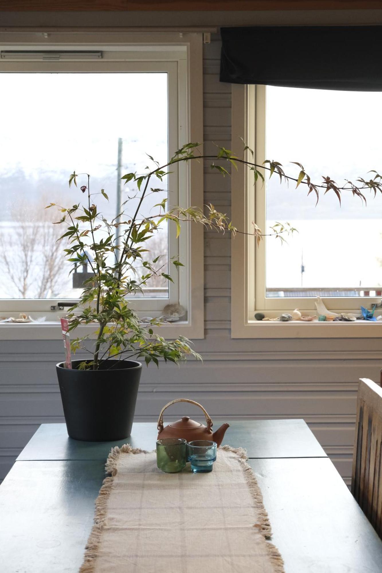 3art Recreation Privatunterkunft Tromsø
